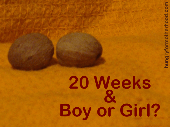 20-Weeks-Boy-Girl