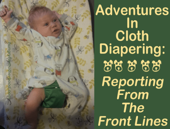 Adventures-in-Cloth-Diaperi
